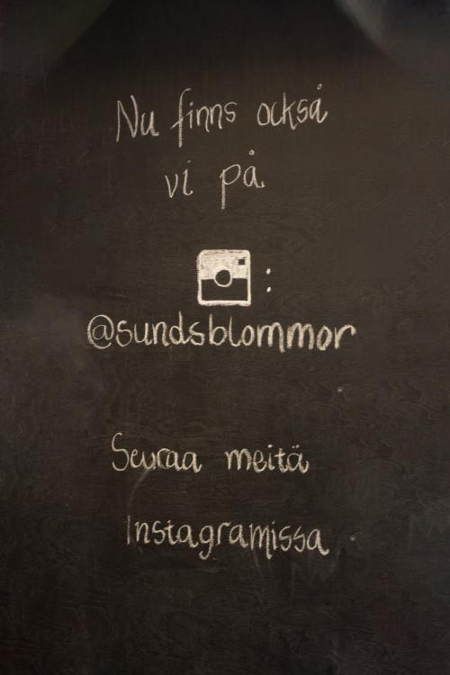 Skutnas_instagram_4897.jpg